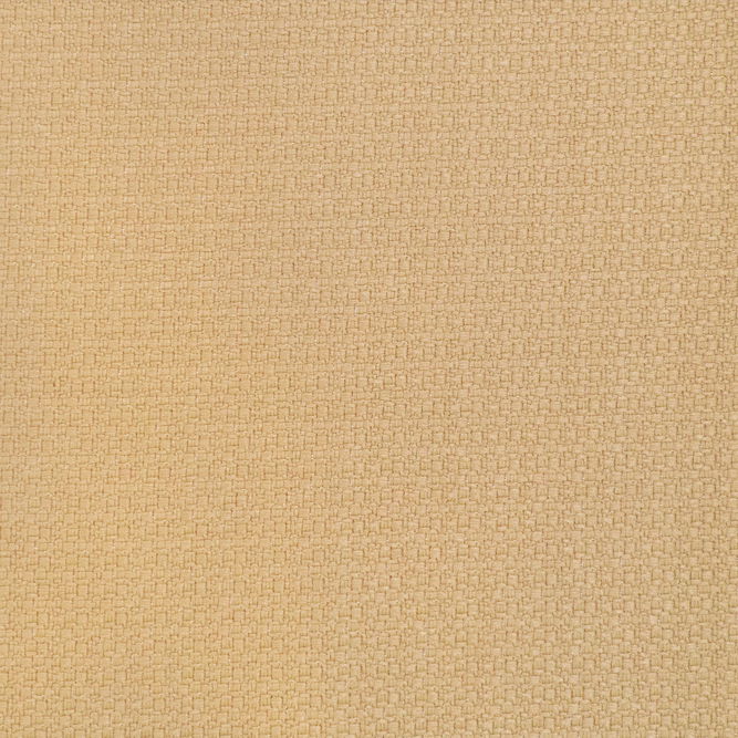 Gast&#243;n y Daniela Lhasa Paja Fabric