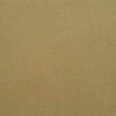 Kravet GENSLAR.116 Fabric