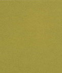 Kravet GENSLAR.123 Fabric