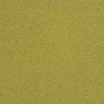 Kravet GENSLAR.123 Fabric