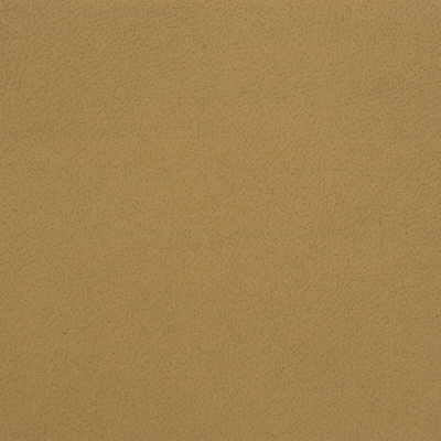 Kravet GENSLAR.16 Fabric