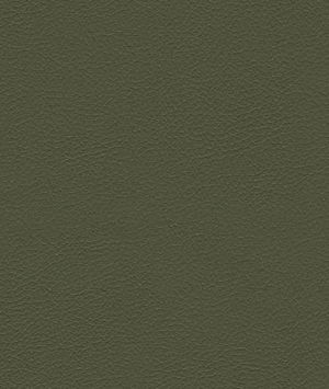 Kravet GENSLAR.2121 Fabric
