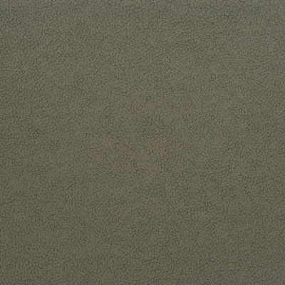 Kravet GENSLAR.21 Fabric