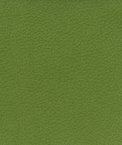 Kravet GENSLAR.333 Fabric