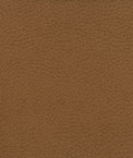 Kravet GENSLAR.6666 Fabric