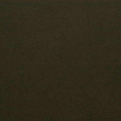 Kravet GENSLAR.66 Fabric