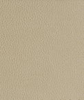 Kravet GILLIAN.1616 Fabric