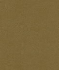 Kravet GILLIAN.606 Fabric