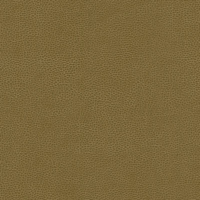 Kravet GILLIAN.606 Fabric