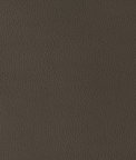 Kravet Design Gillian 6666 Fabric