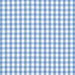 1/4" Blue Gingham Fabric