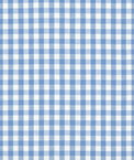 1/4" Blue Gingham Fabric
