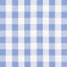 1" Blue Gingham Fabric
