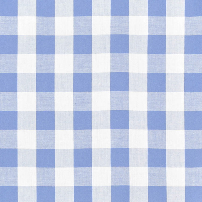 1" Blue Gingham Fabric image 1 of 2