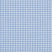 1/8" Blue Gingham Fabric