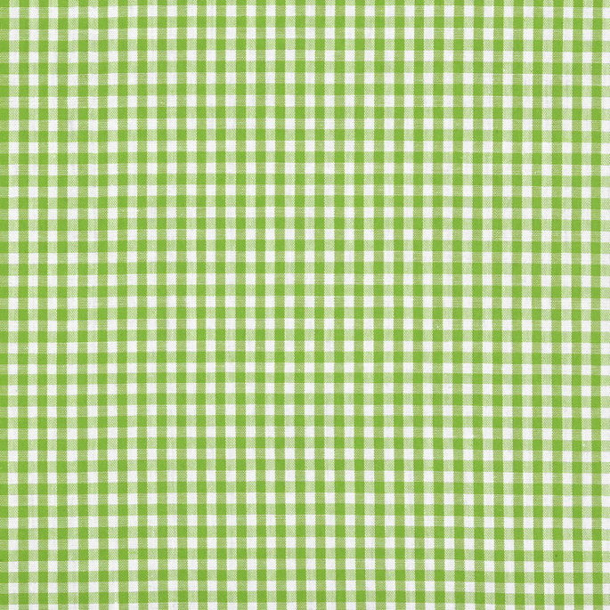 1/8" Lime Green Gingham Fabric image 1 of 2