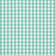 1/4" Mint Green Gingham Fabric