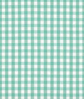 1/4" Mint Green Gingham Fabric