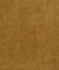 Kravet GLENDALE.116 Fabric