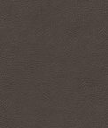 Kravet GLENDALE.21 Fabric