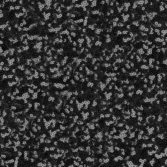 Black Glitz Sequin Fabric image 1 of 2