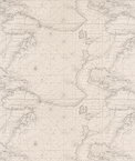 Premier Prints Global Lead Macon Fabric