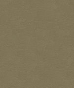 Kravet GRANA.11