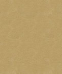 Kravet GRANA.16 Fabric