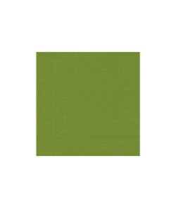 Lee Jofa Modern Canopy Solid Lime