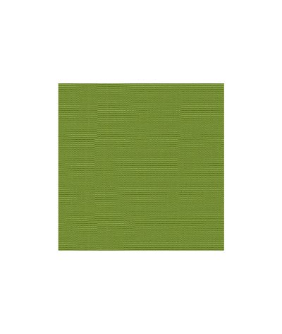 Lee Jofa Modern Canopy Solid Lime Fabric