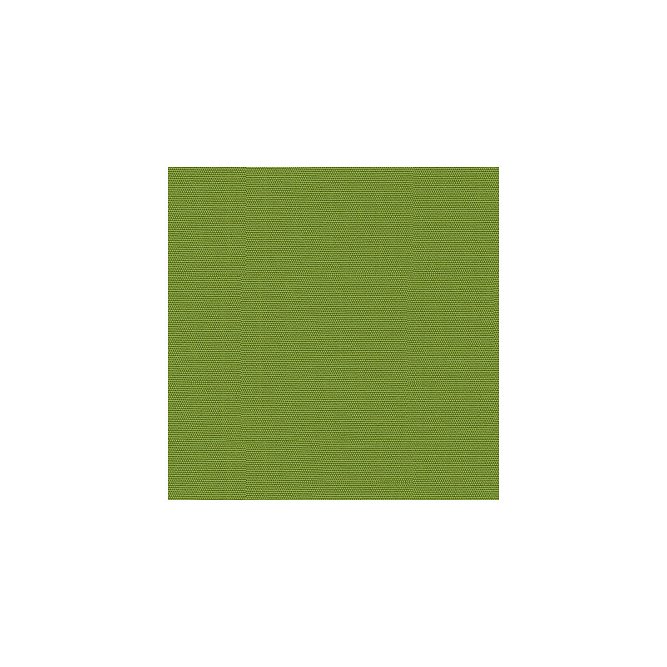 Lee Jofa Modern Canopy Solid Lime Fabric