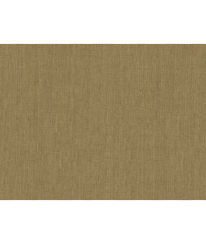 Lee Jofa Modern GWF-2507.6 Fabric