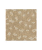 Lee Jofa Modern Feline Beige/Ivory
