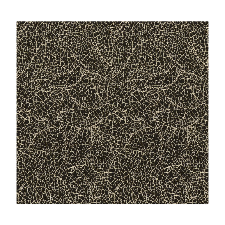 Lee Jofa Modern Breakwater Black Fabric