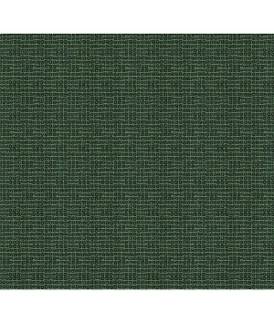 Lee Jofa Modern Porto Evergreen Fabric
