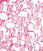 Lee Jofa Modern Hutch Print Pink