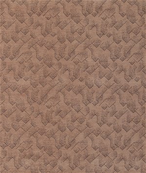 Lee Jofa Modern Brink Rose/Raisin Fabric