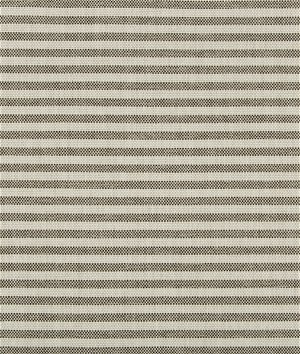 Lee Jofa Modern Rayas Stripe Soot Fabric