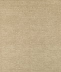 Lee Jofa Modern Plume Fawn Fabric
