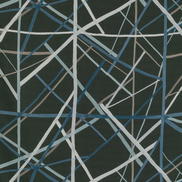Lee Jofa Modern Simpatico Print Raven Fabric