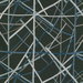 Lee Jofa Modern Simpatico Print Raven Fabric