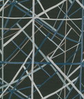 Lee Jofa Modern Simpatico Print Raven Fabric