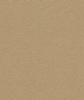 Kravet Hammer.11.0 Fabric