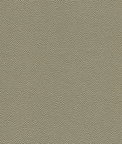 Kravet Hammer.52.0 Fabric