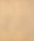 Kravet Harmony.11.0 Fabric