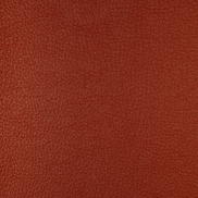 Kravet Harmony.24.0 Fabric