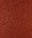Kravet Harmony.24.0 Fabric