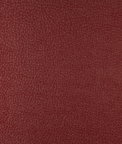 Kravet Harmony.99.0 Fabric