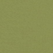 ABBEYSHEA Devine 2008 Chartreuse Fabric