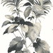 Harry & Grace Peel & Stick Leaf Stripe Inkwell Wallpaper